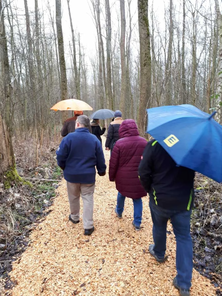 Besuchergruppe im Regen bei einer Führung durch den Waldfriedhof Waldurne