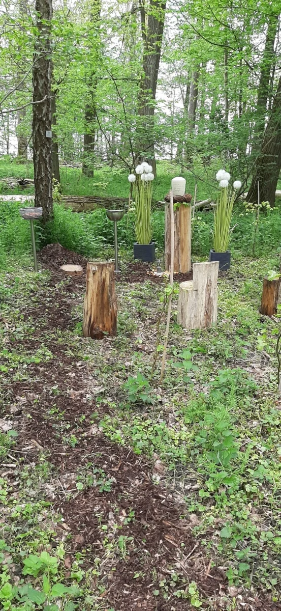 Grabstelle an Baumstumpf mit Dekoration – Waldfriedhof Waldurne Schwalm-Eder