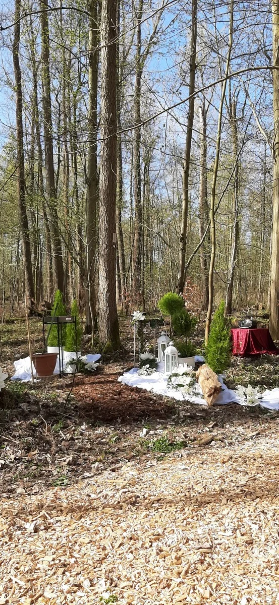 Grabstelle im Frühling mit Blumendekoration – Waldfriedhof Waldurne Trockenerfurth