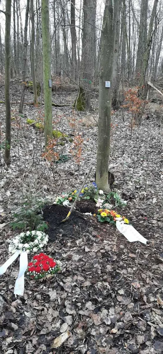 Grabstelle mit Kranz im Winter – Waldfriedhof Waldurne, Naturbestattung Nordhessen