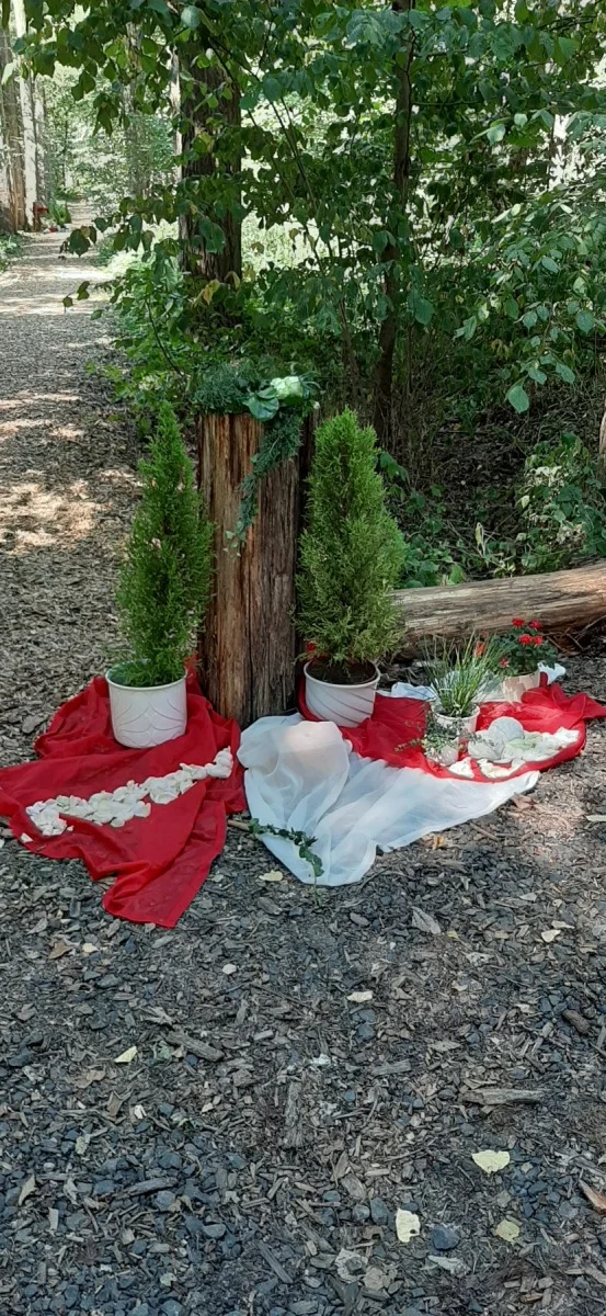 Grabstelle im Sommer mit Blumendekoration – Baumbestattung Schwalm-Eder-Kreis