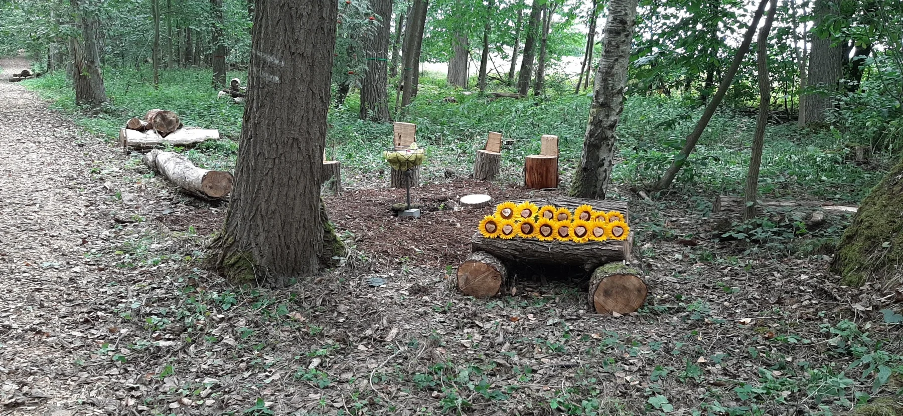 Grabstelle mit Sonnenblumen im Waldfriedhof Waldurne – Baumbestattung Nordhessen