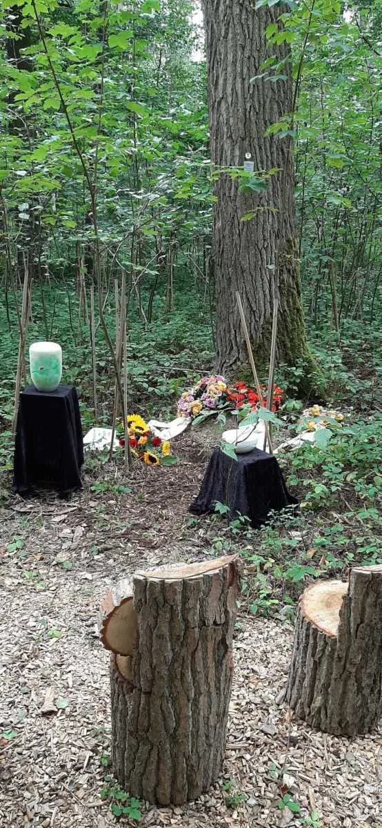 Grabstelle mit Urne und Sommerblumen – Baumbestattung Waldurne Borken Hessen