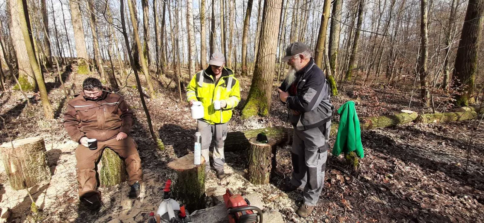 Pflanzarbeiten am Baumstumpf im Waldfriedhof Waldurne – Schwalm-Eder-Kreis