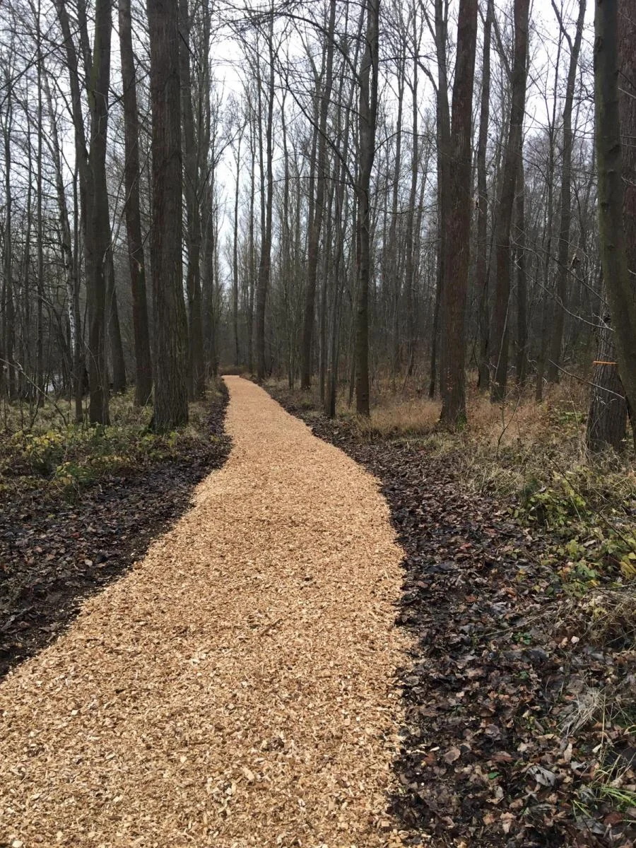 Gepflegter Waldweg mit Hackschnitzeln im Bestattungswald Waldurne, Nordhessen